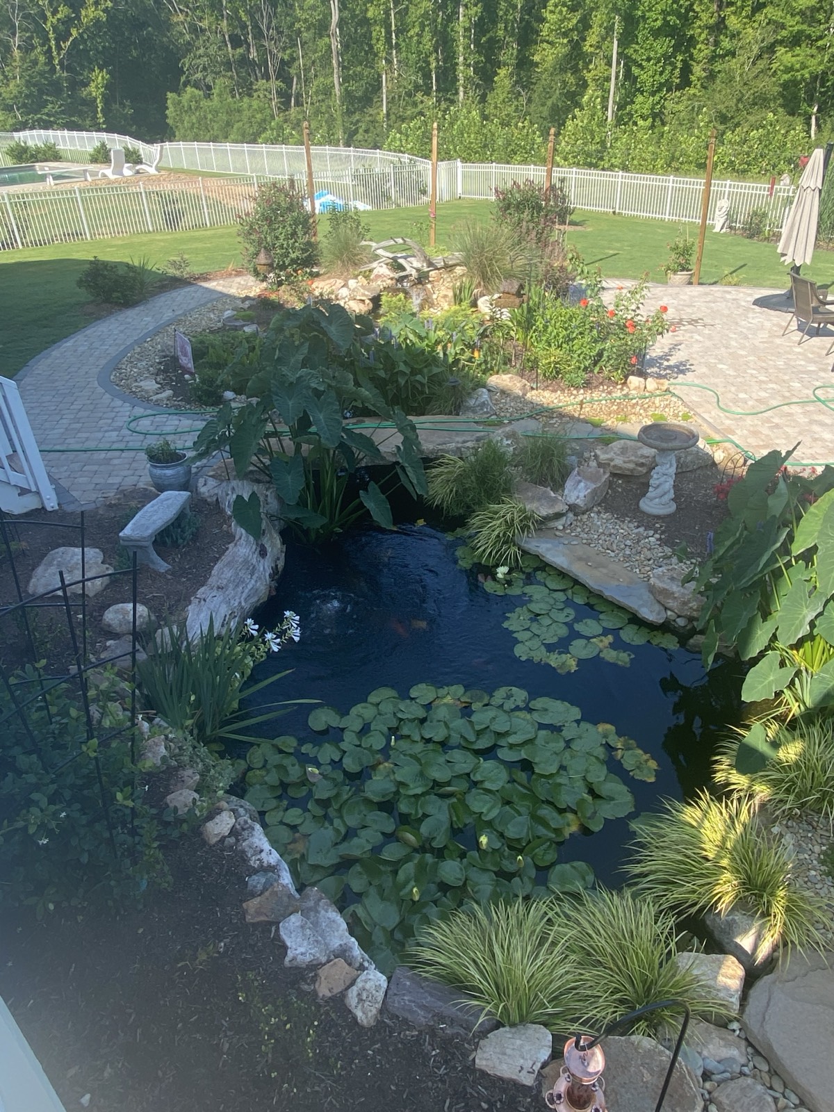 Custom pond and waterfall built by White's Waterscapes near Rock Hill, SC